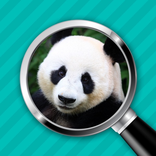 Close-up & Words - Animals Edition iOS App