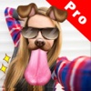 Snap Emoji Dog Face Filters & Effects Upload Pro
