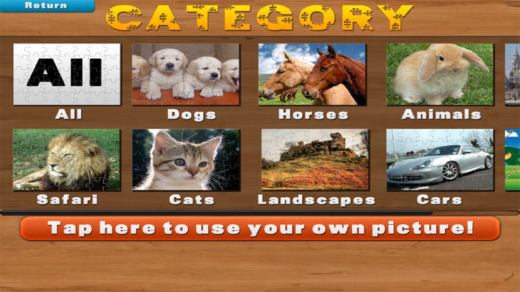 Jigsaw Puzzles!