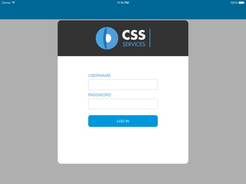 CSS Security screenshot 2