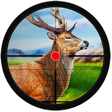 Activities of Sniper Deer Bow Hunter Shooting : Beast Jungle Wild Animal Reloaded