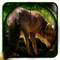 Fox Hunter Game 2016 - Real Animal Hunt Shooting for free