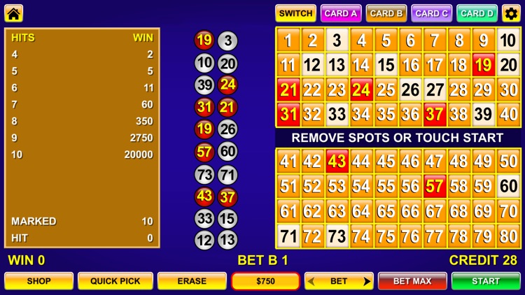 Keno - Multi Card keno games screenshot-4