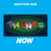 Gratitude Now