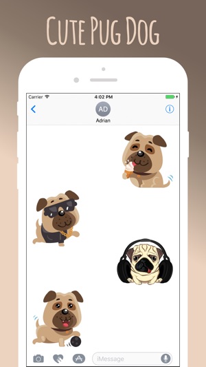 Pug Cute Sweetheart(圖2)-速報App