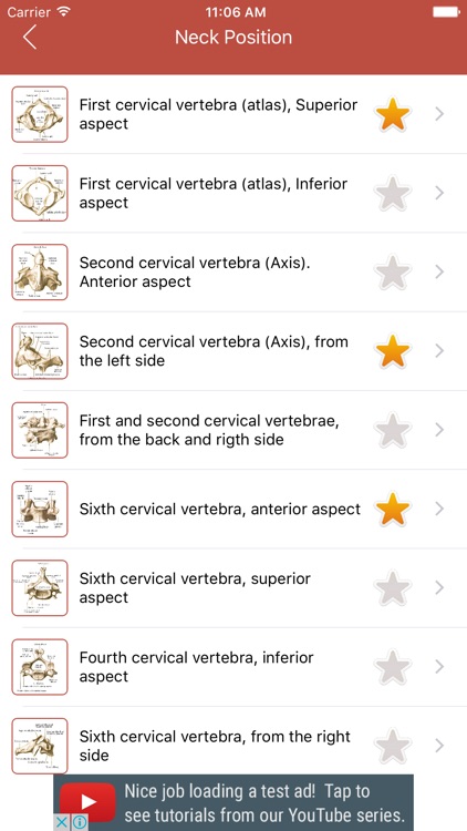 Human Anatomy Atlas – 3D Anatomical Model Pro