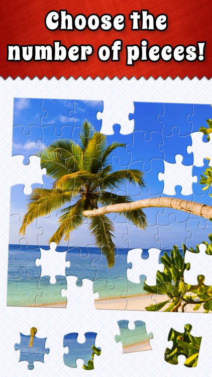 Jigsaw Puzzle Bug