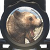 Wild Bear Sniper Hunter 2016