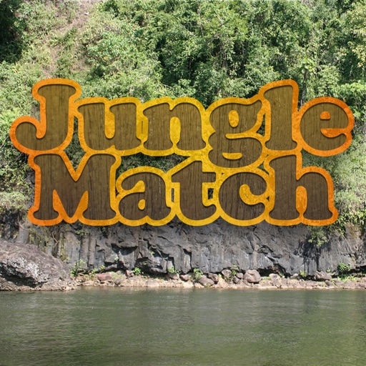 Jungle Find and Match - Animals for Preschoolers iOS App