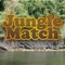 Jungle Find and Match - Animals for Preschoolers