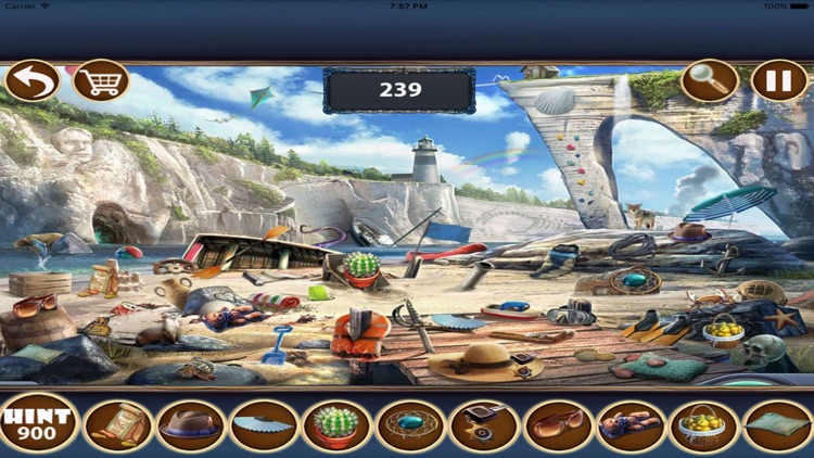 Treasure Mystery Island Hidden Object Games