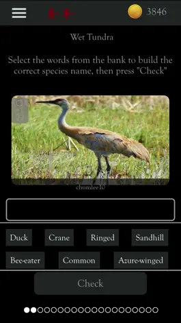 Game screenshot Kea: Create Birding Quiz Games hack