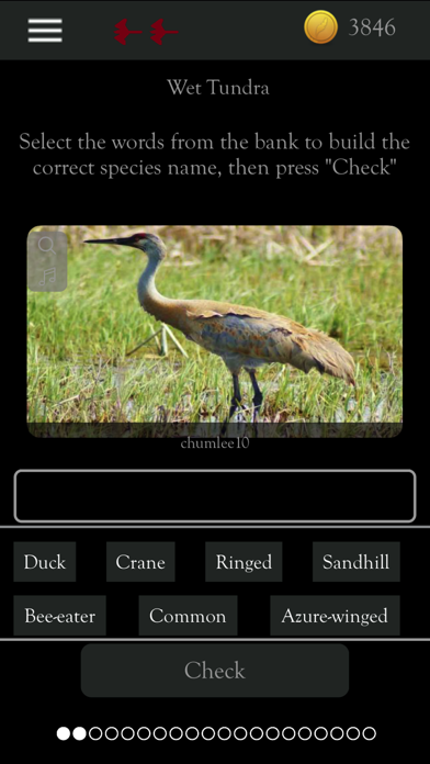 How to cancel & delete Kea: Create Birding Quiz Games from iphone & ipad 3