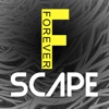 ForeverScape Art with Hidden Objects