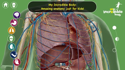 My Incredible Body - A Kid's App to Learn about the Human Bodyのおすすめ画像2