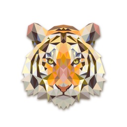 BIGTIGER.ME