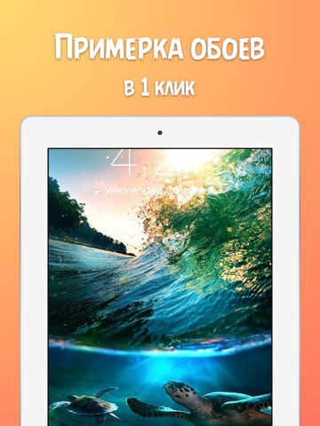 Скриншот из Обои для iPhone - темы для айфона, прикольные картинки и заставки на экран