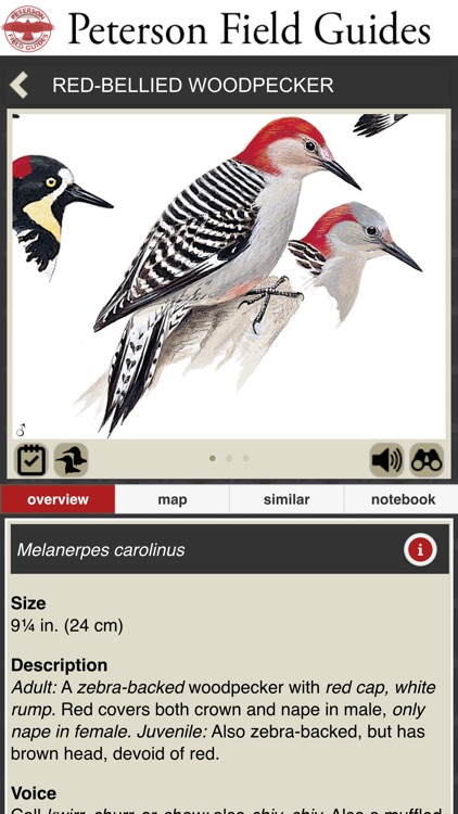 Peterson Field Guides - Backyard Birds screenshot-3