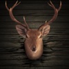 DeerHunter 3D-Free Deer Hunting Games,Hunter Games