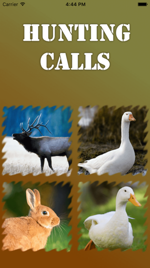 Hunting Calls 2016(圖1)-速報App