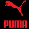Puma Shop In Shop