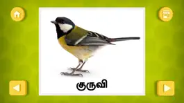 Game screenshot Tamil Mazhalai Chorkkal apk