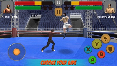 Boxing vs Kung Fu Fighting Simのおすすめ画像1