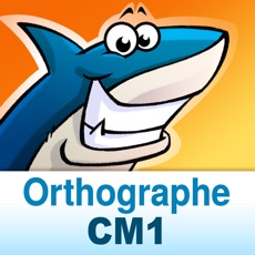 Activities of Orthographe CM1