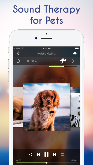 Calming Music for Dogs Anxiety and Therapy for Pet Screenshot 2