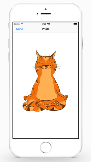 Yoga Cats(圖2)-速報App