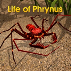 Activities of Life of Phrynus - Whip Spider