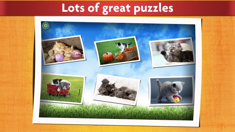 Cat Puzzles for Kids - Relaxing photo picture jigsaw puzzles for kids and adults