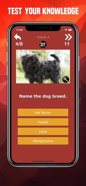 Dogs Trivia - Canis Breed Quiz(圖3)-速報App