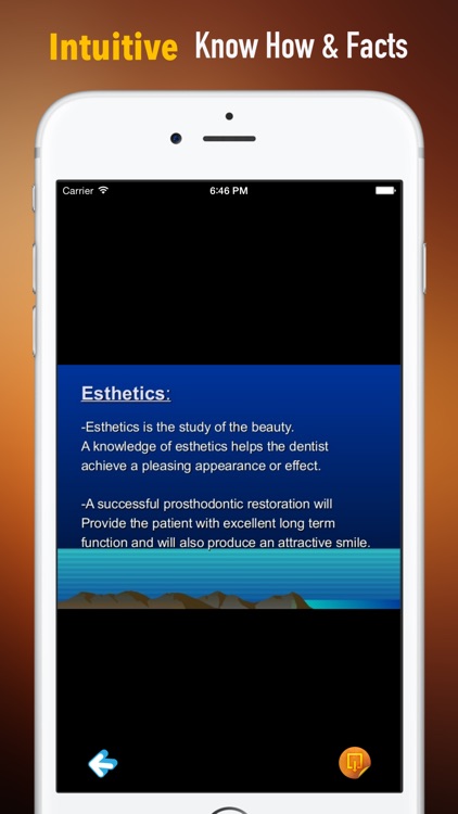 Esthetics:Basics and Top News