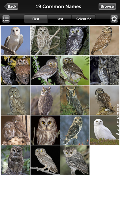 How to cancel & delete Audubon Owls Guide from iphone & ipad 2