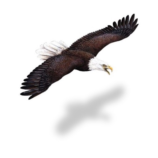 Birds Kingdom icon