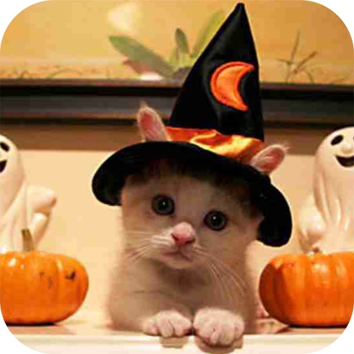 Funny Cats In Costume icon