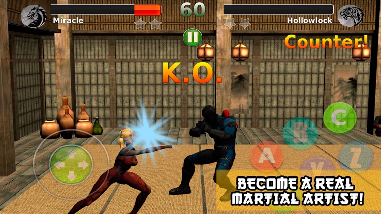 Ninja Revenge: Kung Fu Fighting - 2 Full screenshot-3