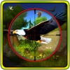 Jungle Birds Sniper Hunts