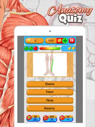 Zrzut 2 Anatomía Quiz Gratis Ciencia Educación Juego iphone