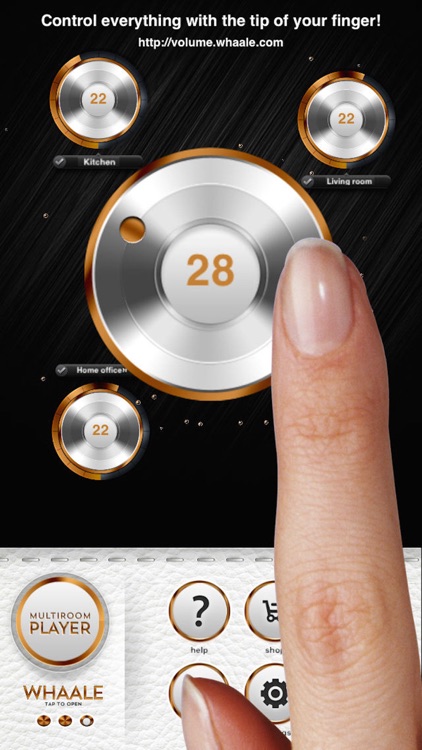 WHAALE Multiroom Player for AirPlay speakers