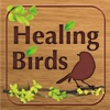 Healing Birds for iPad