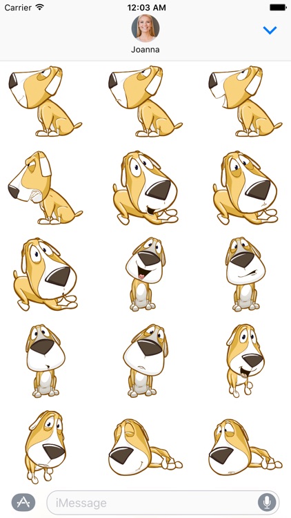 Drake the Dog