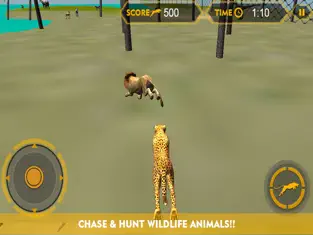 Captura de Pantalla 3 Fauna simulador ataque guepardo 3D - perseguir los animales salvajes, cazan en esta aventura de safari iphone