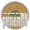 ColoSolo Calendar