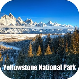 Yellowstone National Park USA Tourist Guide