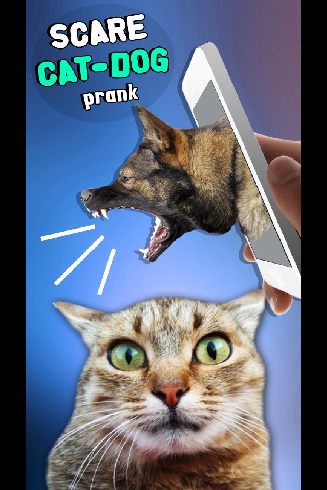 Scare Cat - Dog Prank screenshot 3