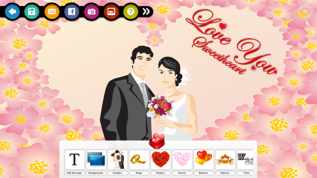 Wedding Expressions Lite(圖3)-速報App