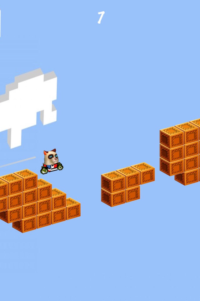 Angry Cat Cart Racing screenshot 2