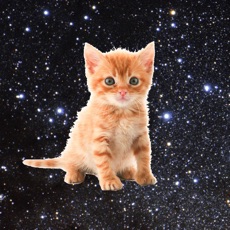 Activities of Space Kitties - funny game that makes you save kittens by tapping